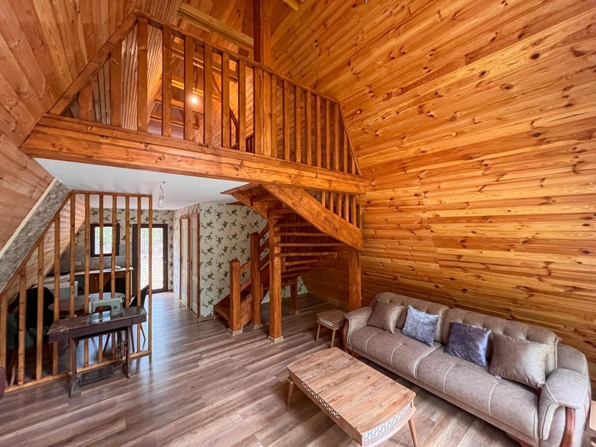Artarica Villa Calugarenii  Bagian luar foto