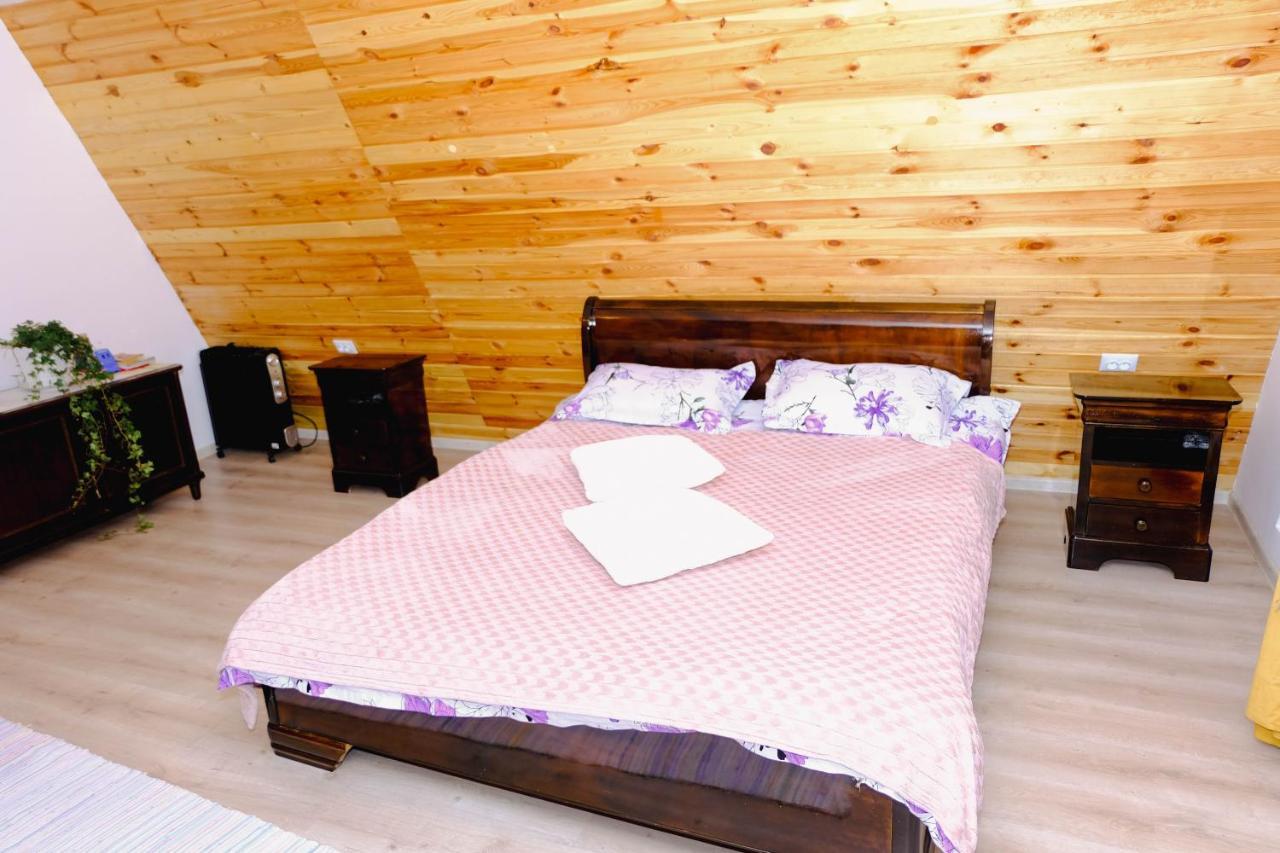 Artarica Villa Calugarenii  Bagian luar foto