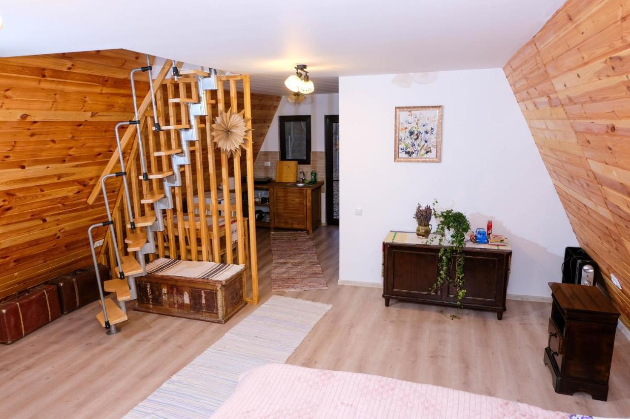 Artarica Villa Calugarenii  Bagian luar foto