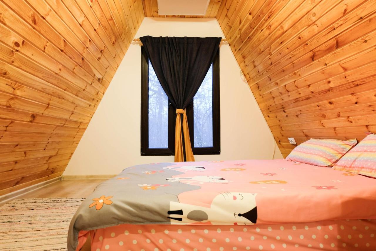 Artarica Villa Calugarenii  Bagian luar foto