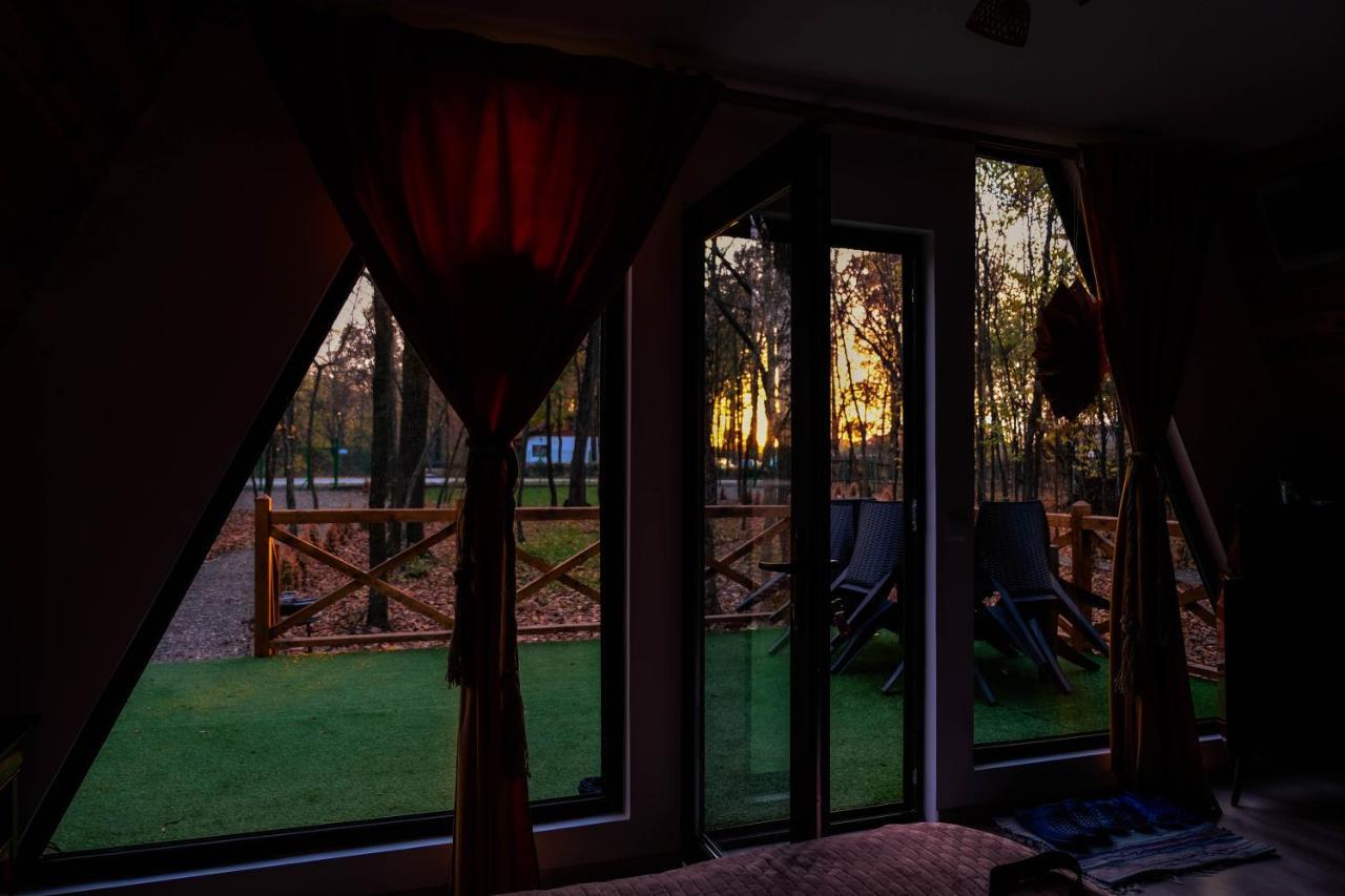Artarica Villa Calugarenii  Bagian luar foto